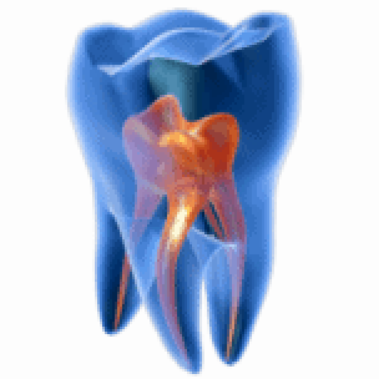 resim_2025-04-27_141540568